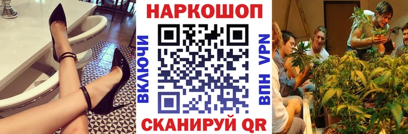 Как найти наркотики Лесной Канабис  Alpha-PVP  Галлюциногенные грибы  Мефедрон  ГАШ 