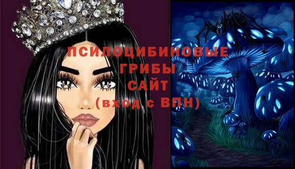 прущие крисы Алзамай