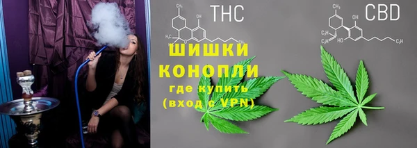 спайс Алексин