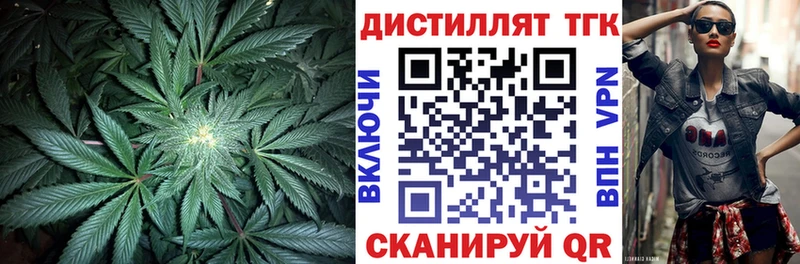 закладки  omg сайт  Дистиллят ТГК жижа  Лесной 