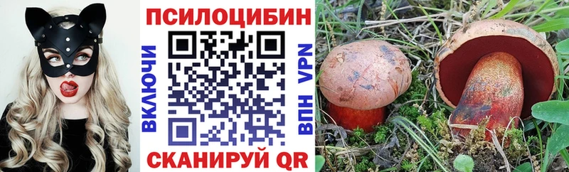 Галлюциногенные грибы MAGIC MUSHROOMS цена Лесной